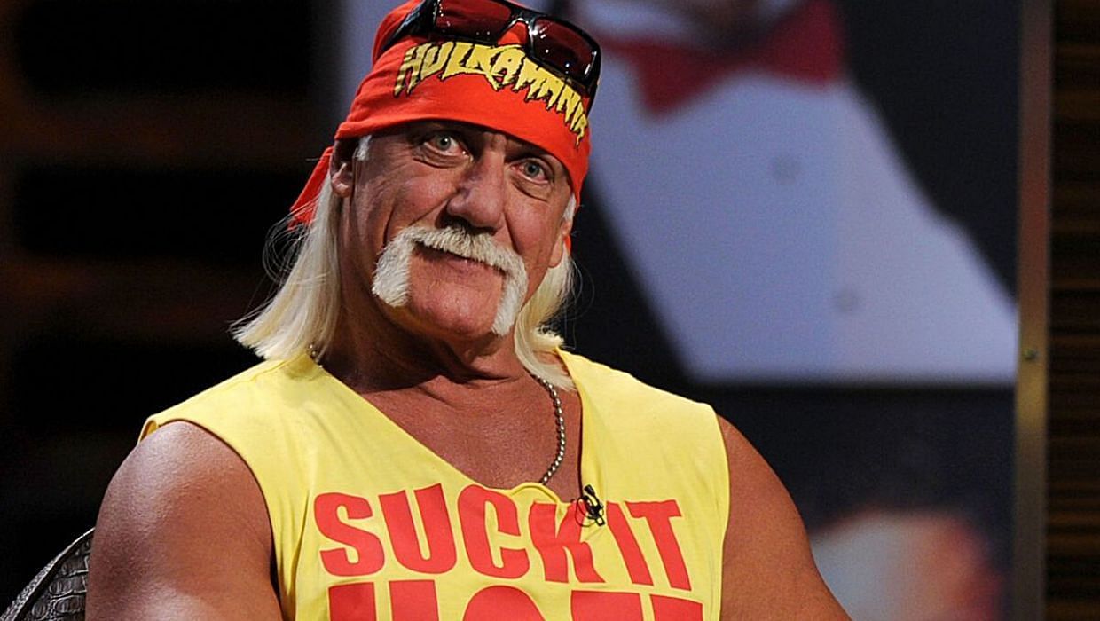 Hulk Hogan is a WWE Hall of Famer