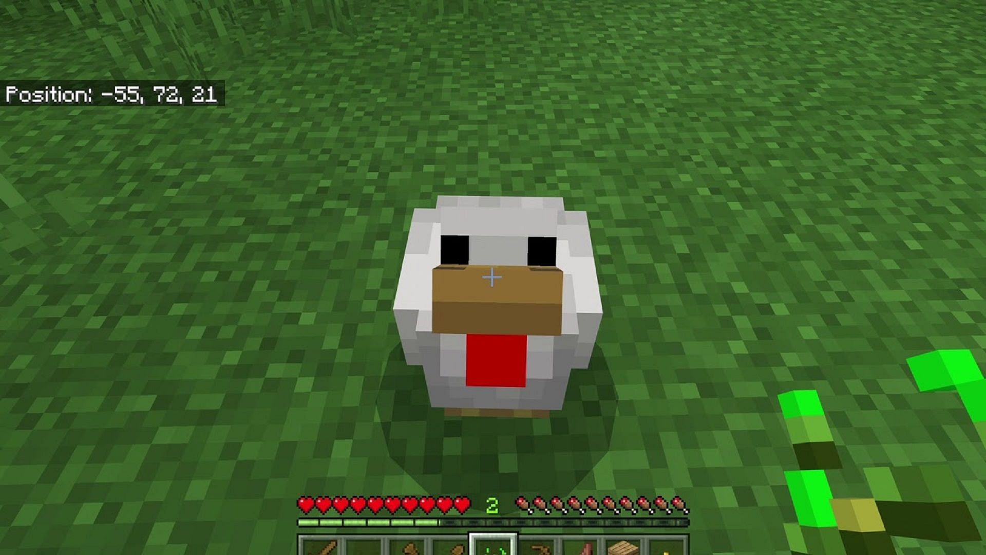 Sometimes, farming chickens in Minecraft doesn