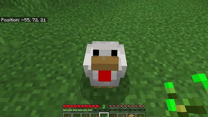 Minecraft player hilariously dies in a chicken farm