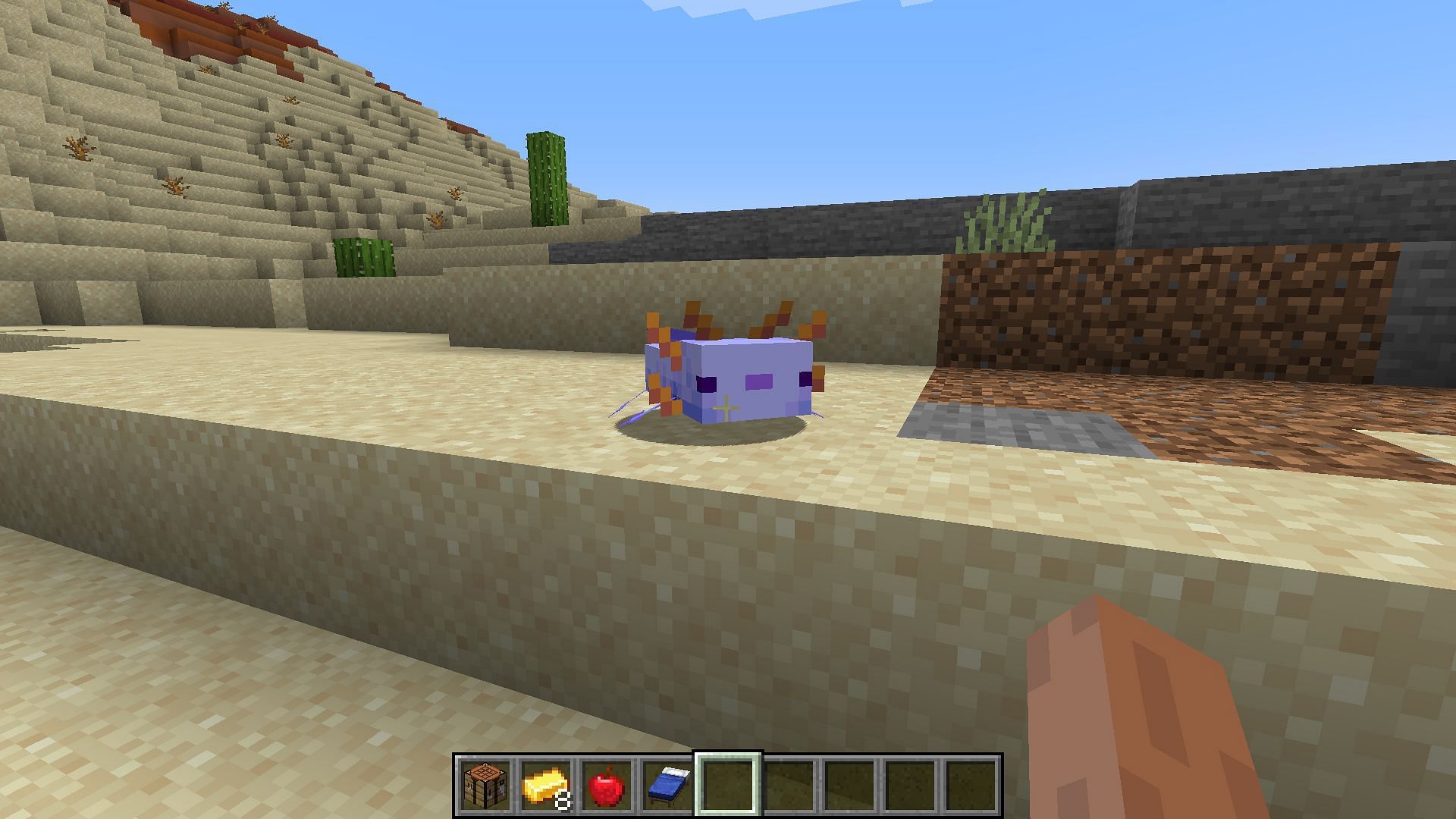 Getting a blue axolotl could be a tedious process and could take a lot of time (Image via Mojang)