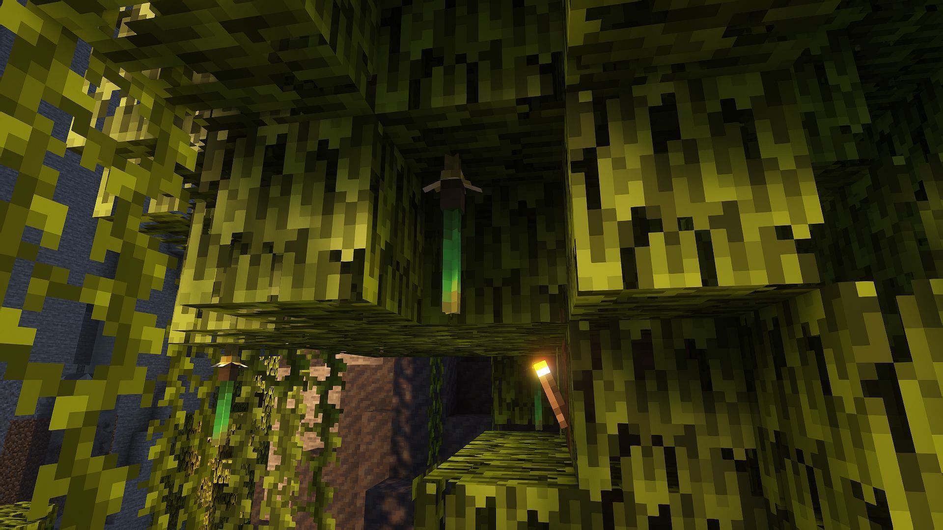 Mangrove propagules growing under mangrove leaves (Image via Mojang)