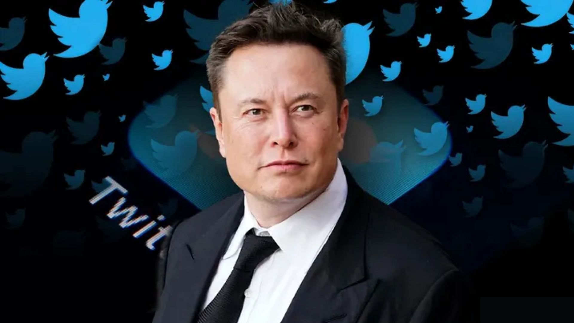 What Did Elon Musk Say About Batman? Netizens Troll Twitter CEO As He ...