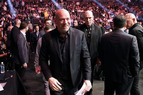 Dana White at UFC 282