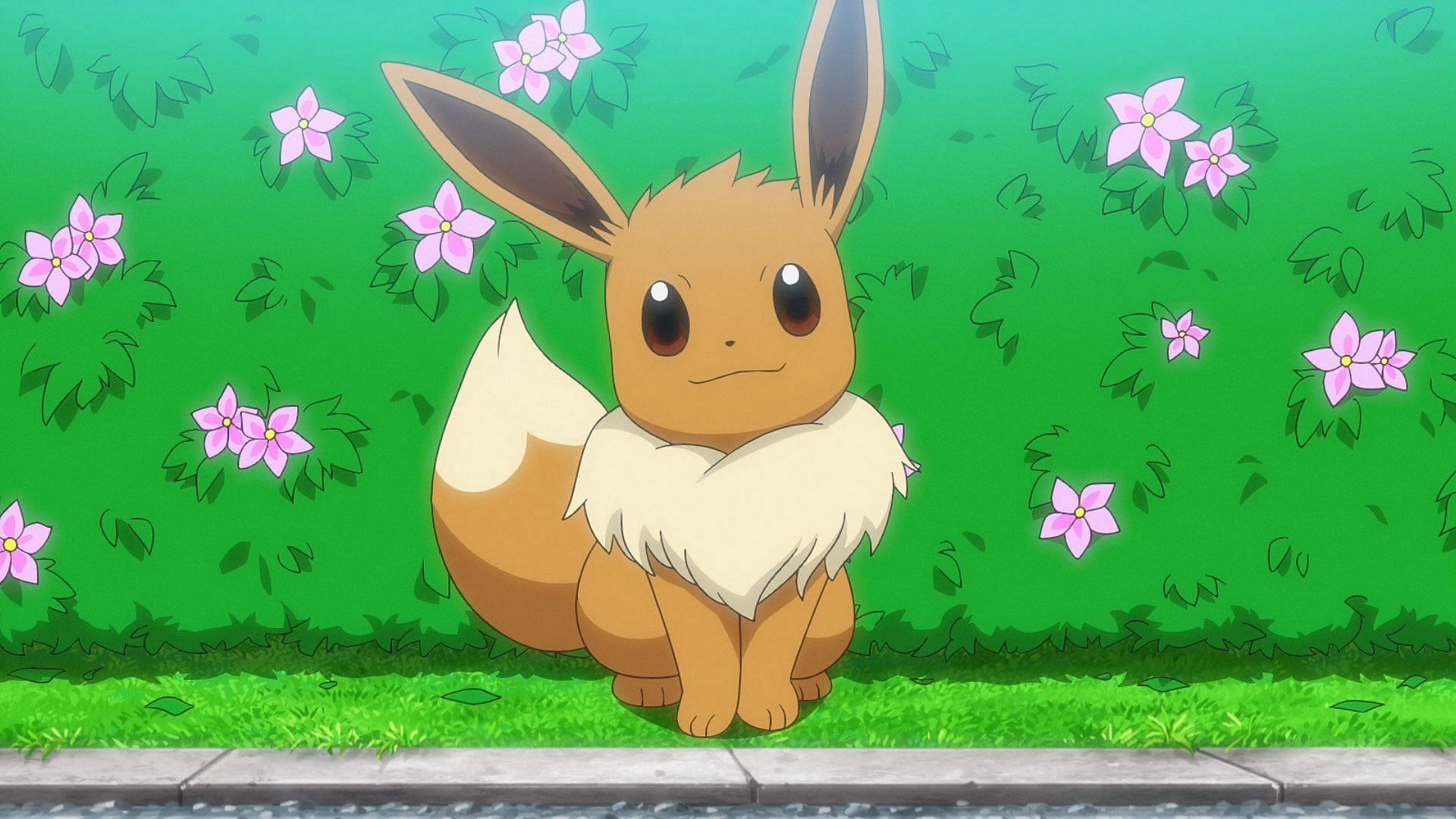 Eevee as it looks in the Pokemon anime (Image via The Pokemon Company)