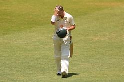 David Warner withdraws bid to overturn lifetime captaincy ban following scathing assessment by review panel