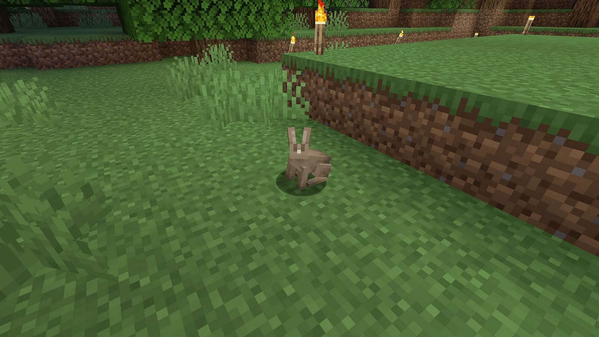 Rabbits can occasionally drop their feet upon death in Minecraft (Image via Mojang)