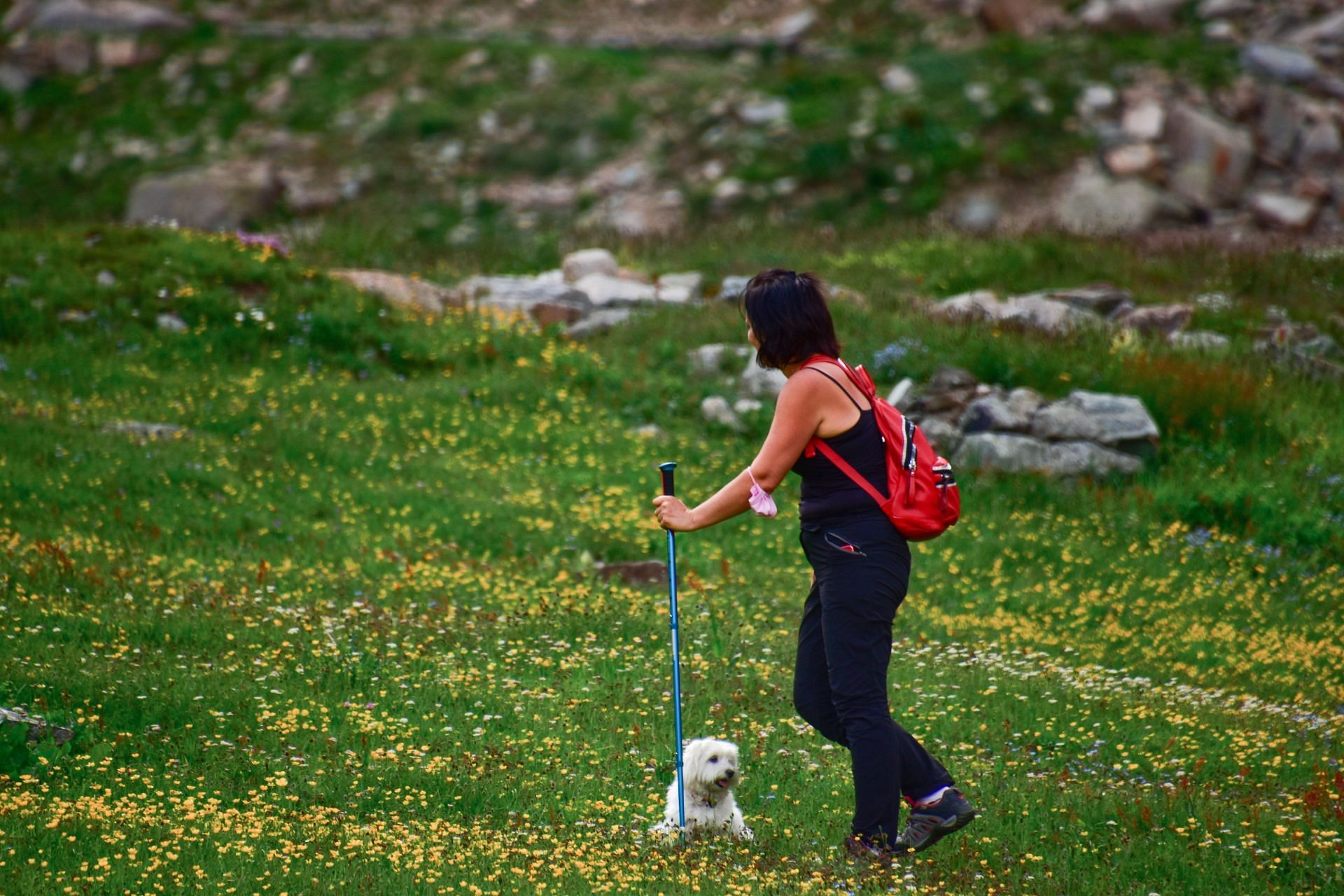 Nordic walking helps in enhancing and improving your posture. (Image via Pexels / dids)