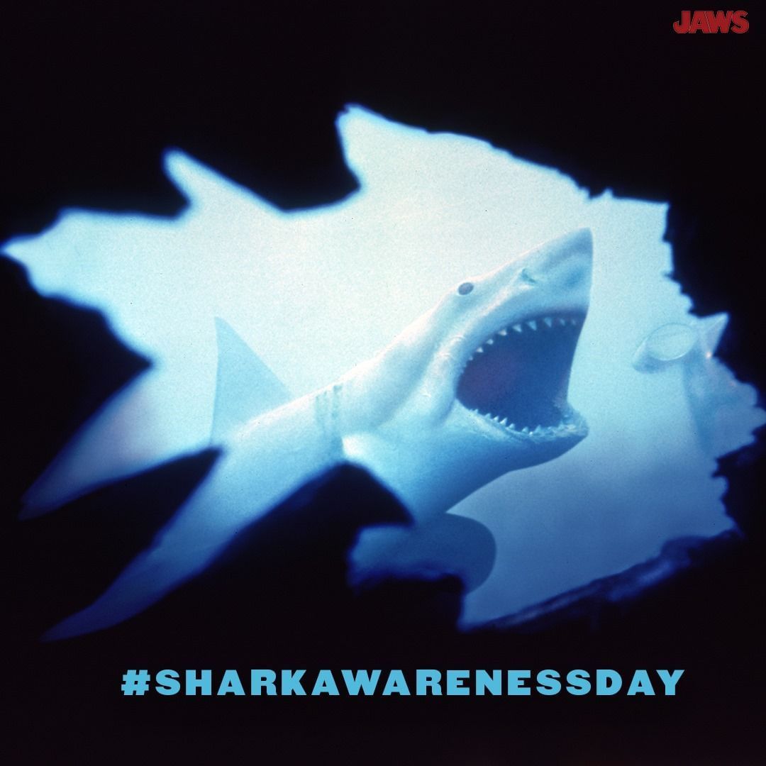 Where was the movie Jaws filmed?