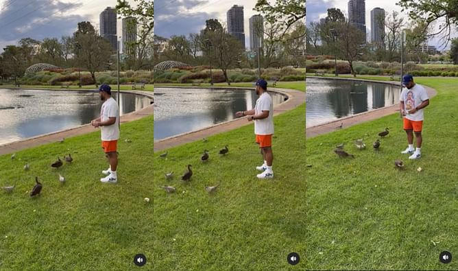 [WATCH] Relaxed Rishabh Pant shares video of feeding ducks