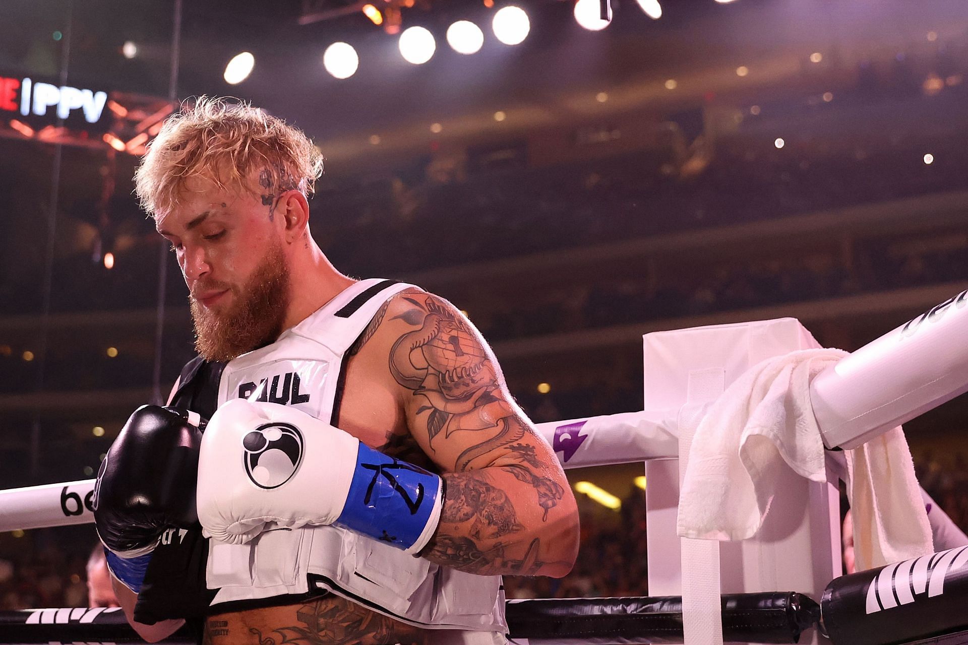 Paul v. PFL MMA титул. Джэйк Голдберг пресс. Томми Фьюри с братом. Джэйк Голдберг сейчас.