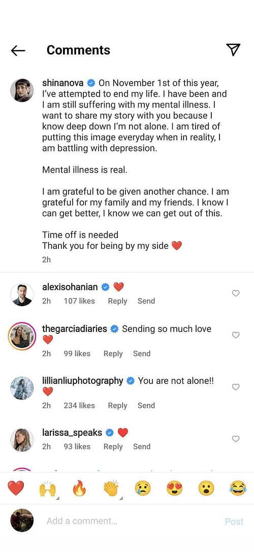 Serena Williams' husband Alexis Ohanian comments on Novalinga's Instagram post