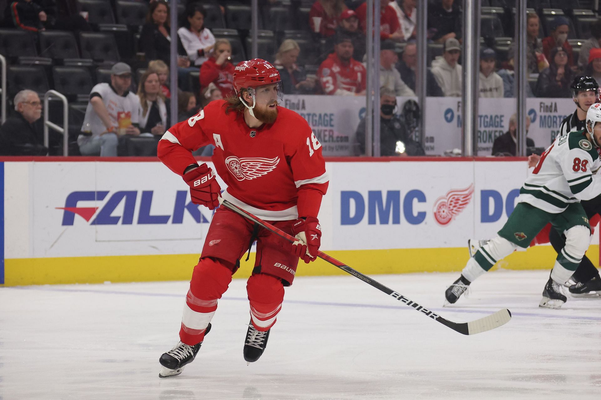 Minnesota Wild v Detroit Red Wings