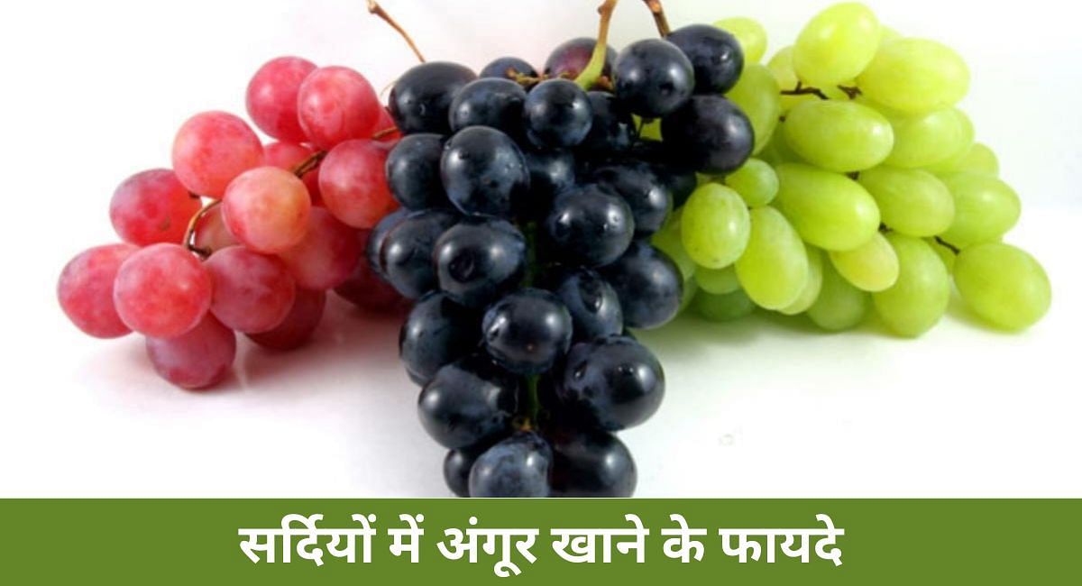 सर्दियों में अंगूर खाने के फायदे(फोटो-Sportskeeda hindi) 
