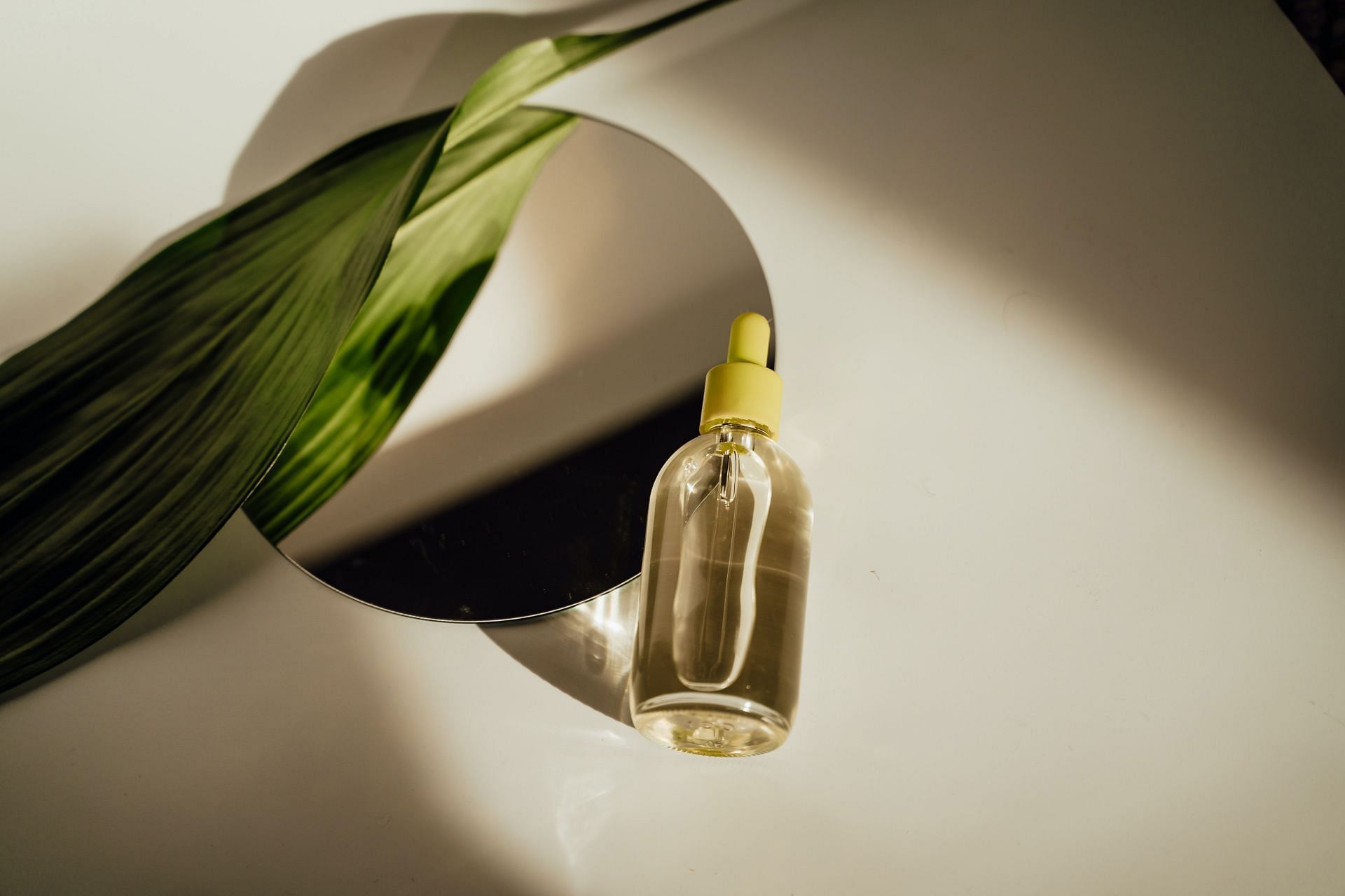 Jojoba Oil for Skin – Benefits, Uses, and More