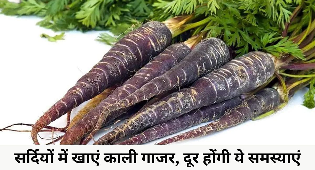 सर्दियों में खाएं काली गाजर, दूर होंगी ये समस्याएं(फोटो-Sportskeeda hindi)