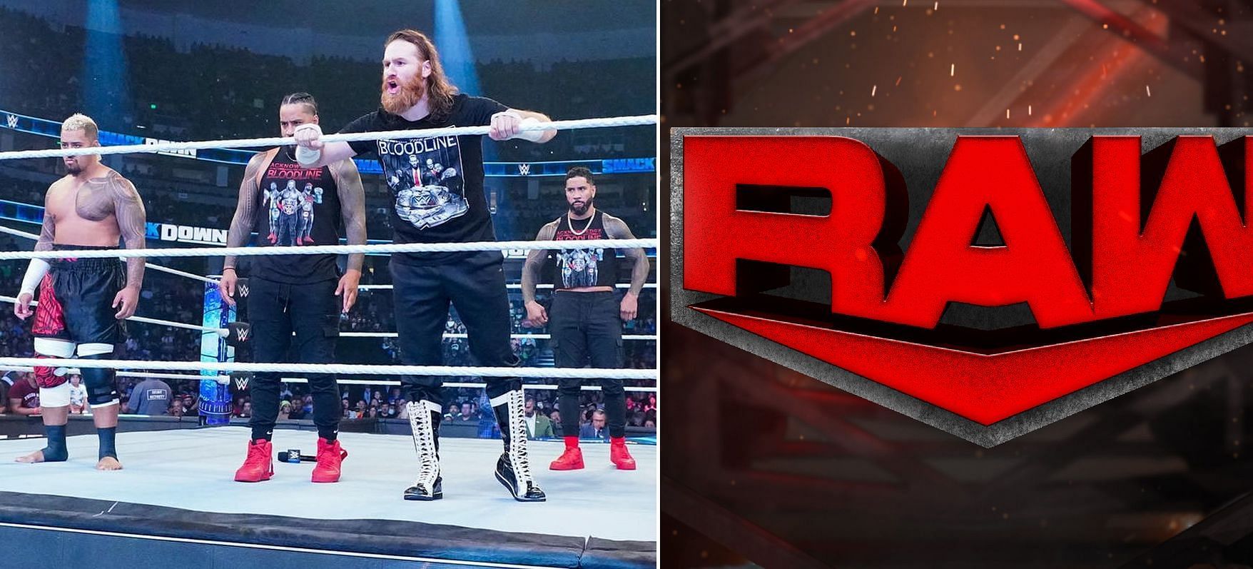There were several botches this week on WWE RAW