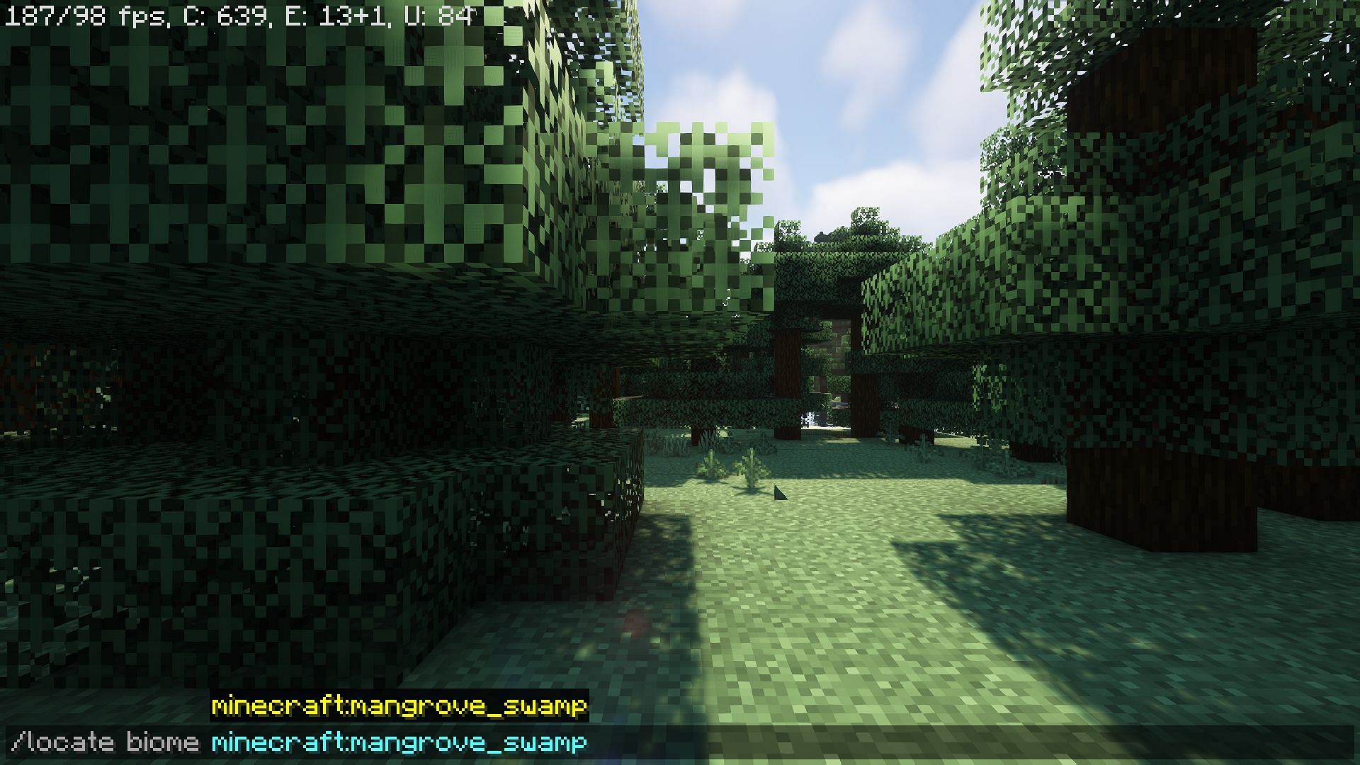 Locating the closest mangrove swamp using command (Image via Mojang)