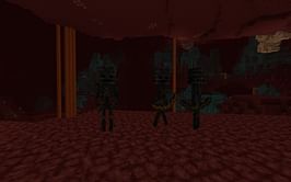 Which is the best Minecraft biome for building wither skeleton farm?