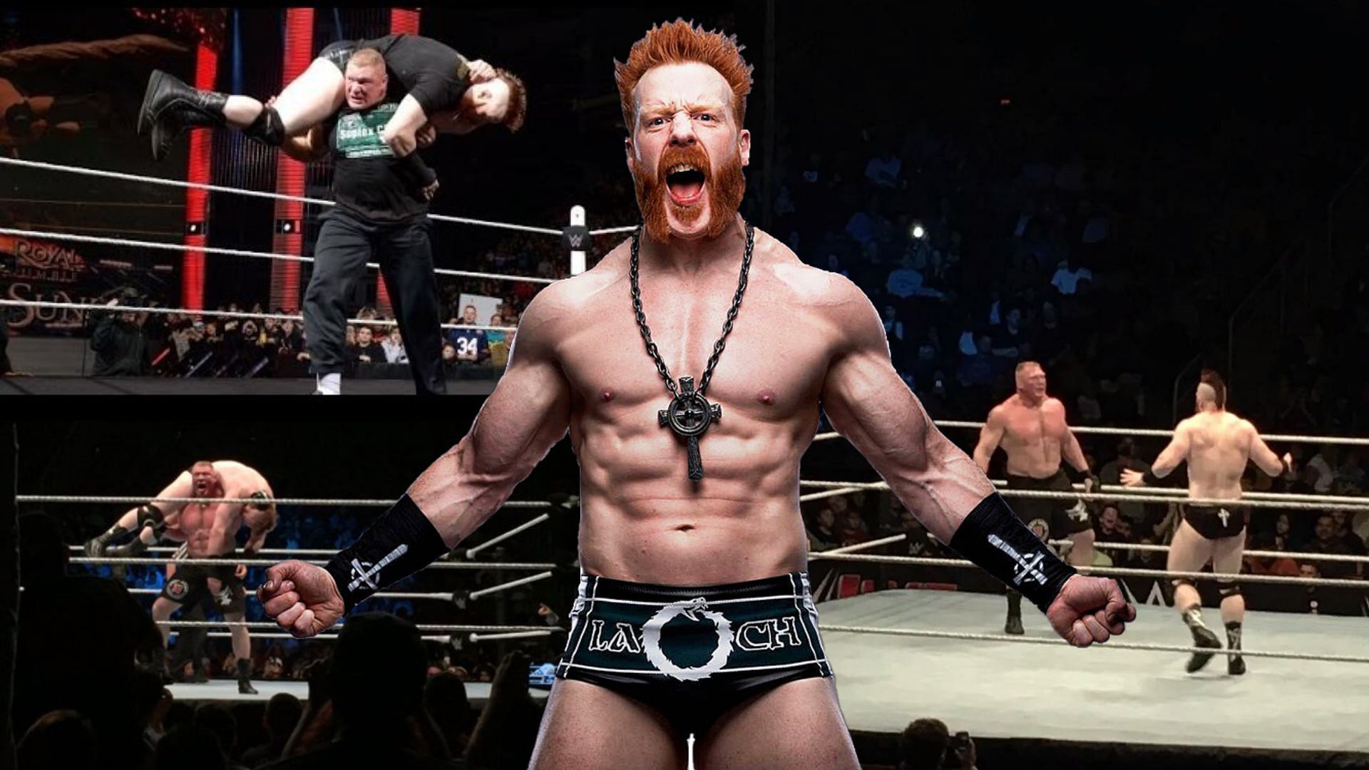 Sheamus and Brock Lesnar wrestled live events in 2016 and 2017