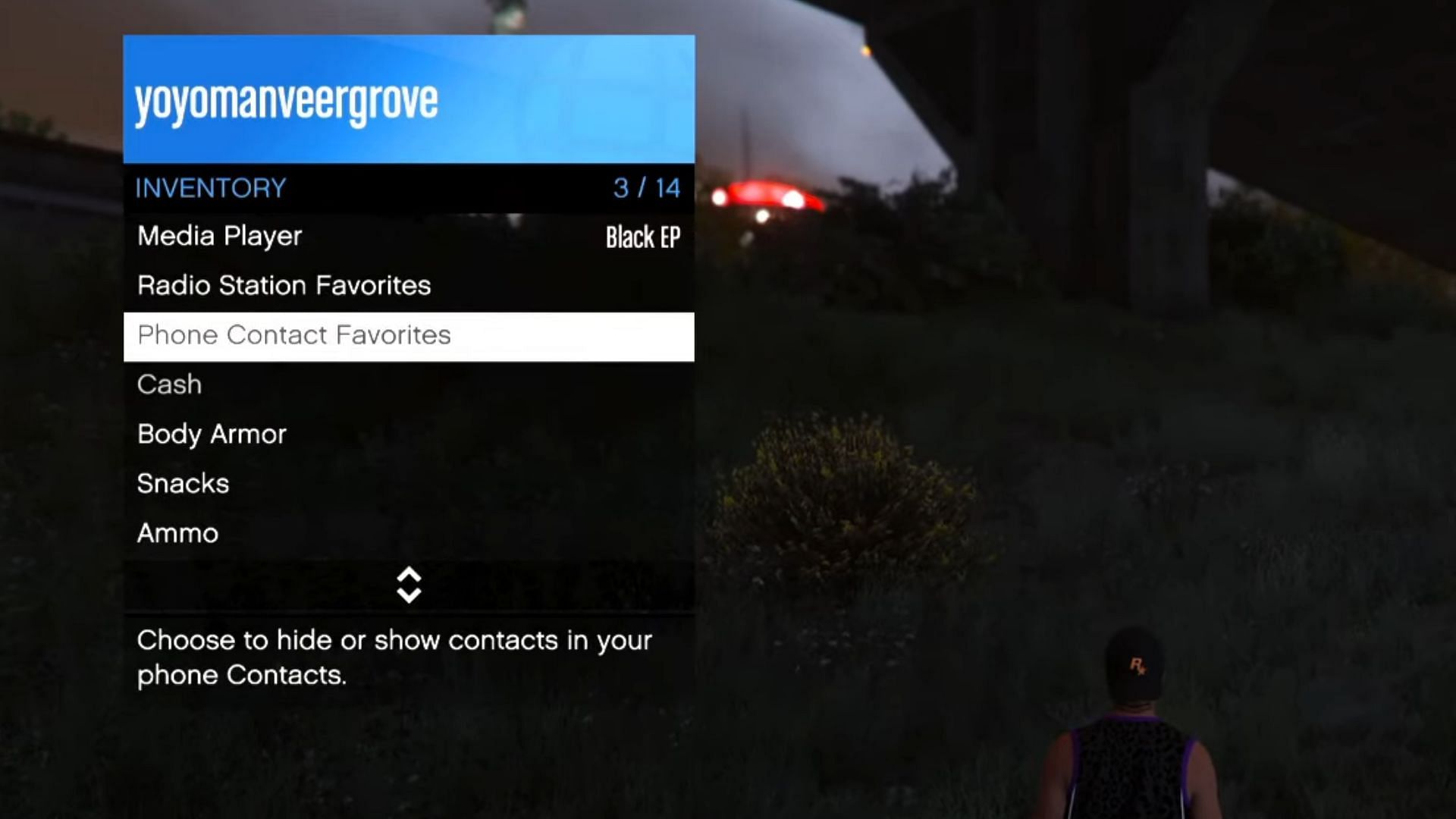 You will remove the unnecessary stuff here (Image via MR GTA ONLINE)