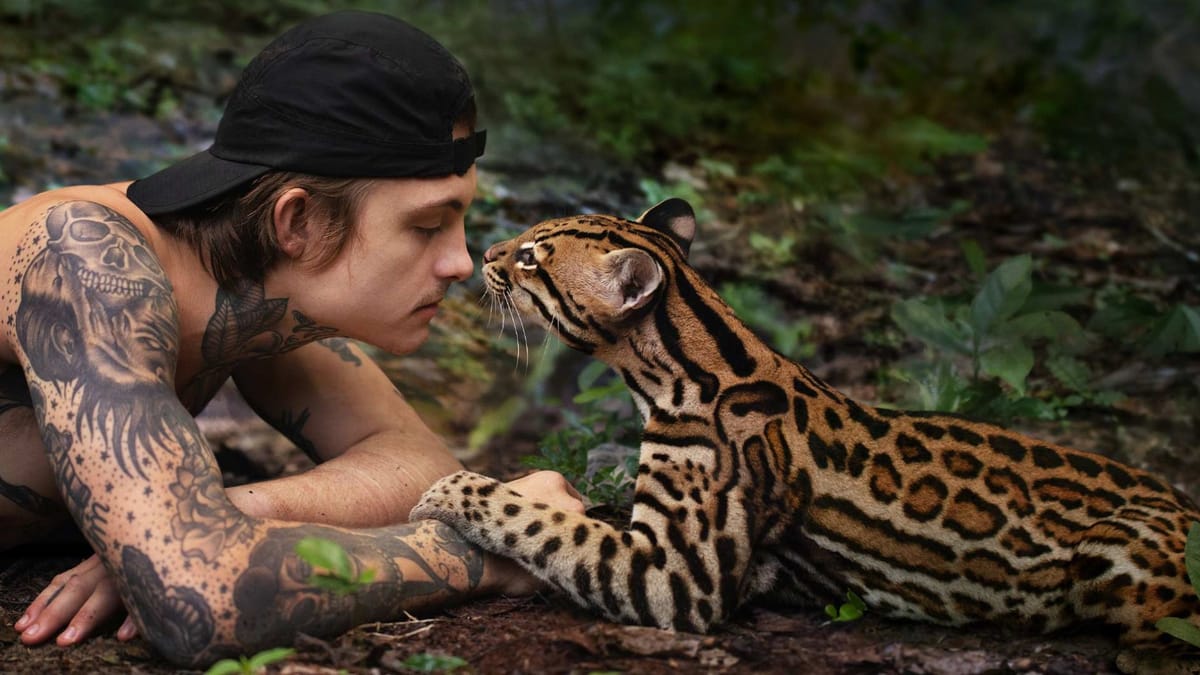 Wildcat Review Is The New Prime Video Documentary Movie Worth The Watch Wildcat Review Is The New Prime Video Documentary Movie Worth The Watch