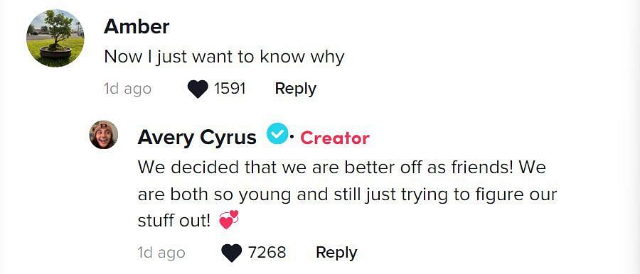 Image showing Avery responding to a question by a fan (Image via TikTok/ @averycyrus)