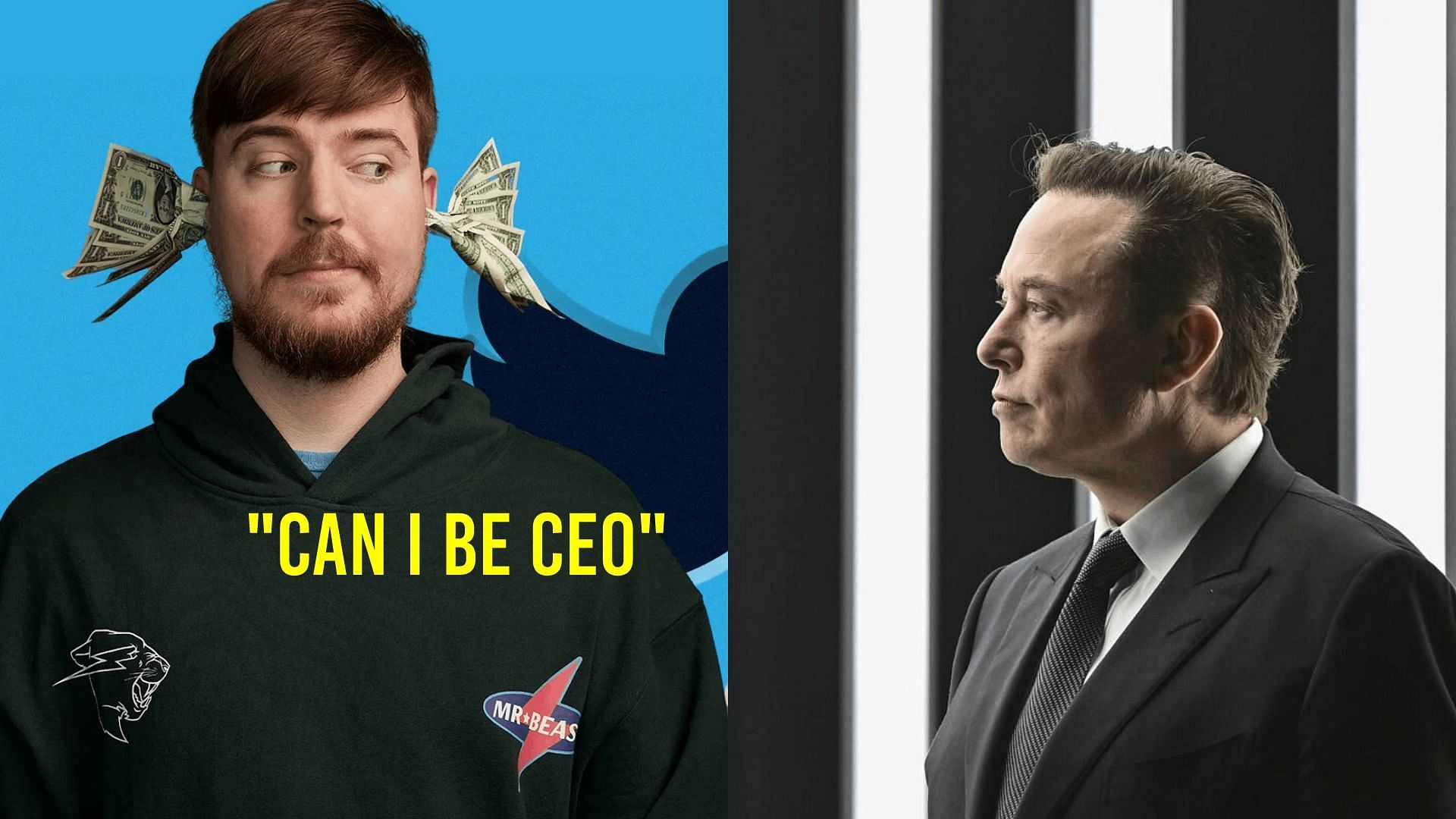 Elon Musk seems open to the idea of MrBeast being the next Twitter CEO (Image via Sportskeeda)