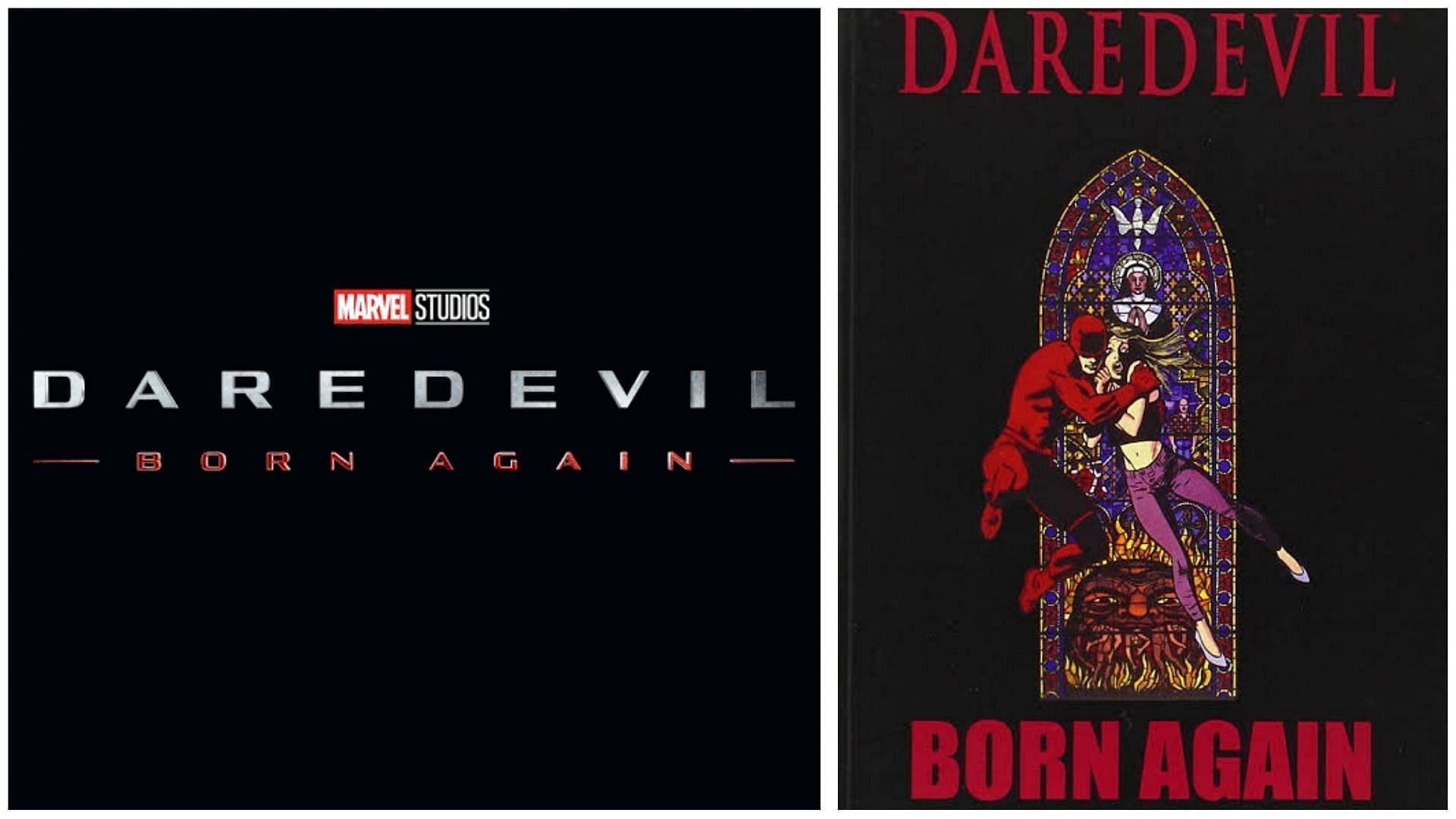 Marvel Phase 5 series - Daredevil: Born Again Logo and Comic Cover (image via Marvel)