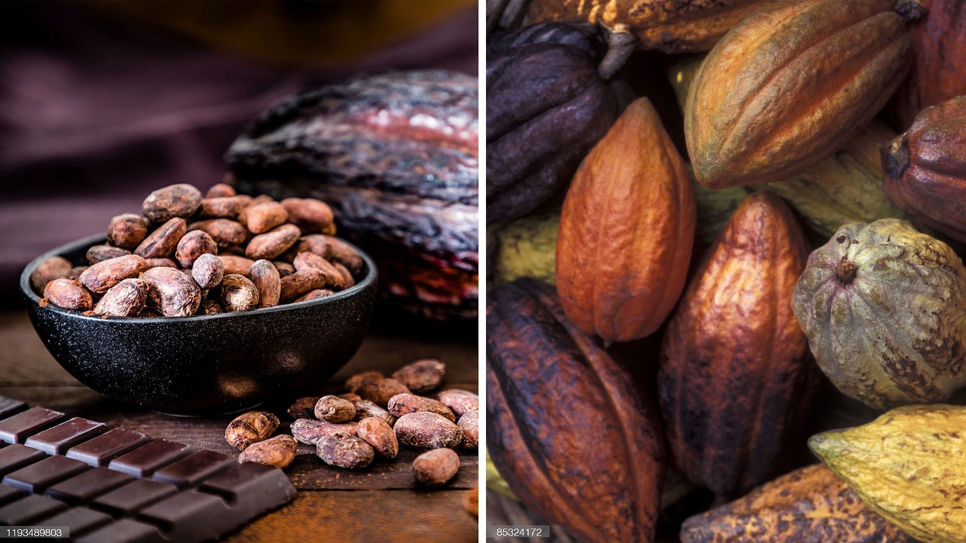 Dark chocolate and cacao bean (image via Getty Images)