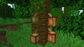 How to get and use cocoa beans in Minecraft