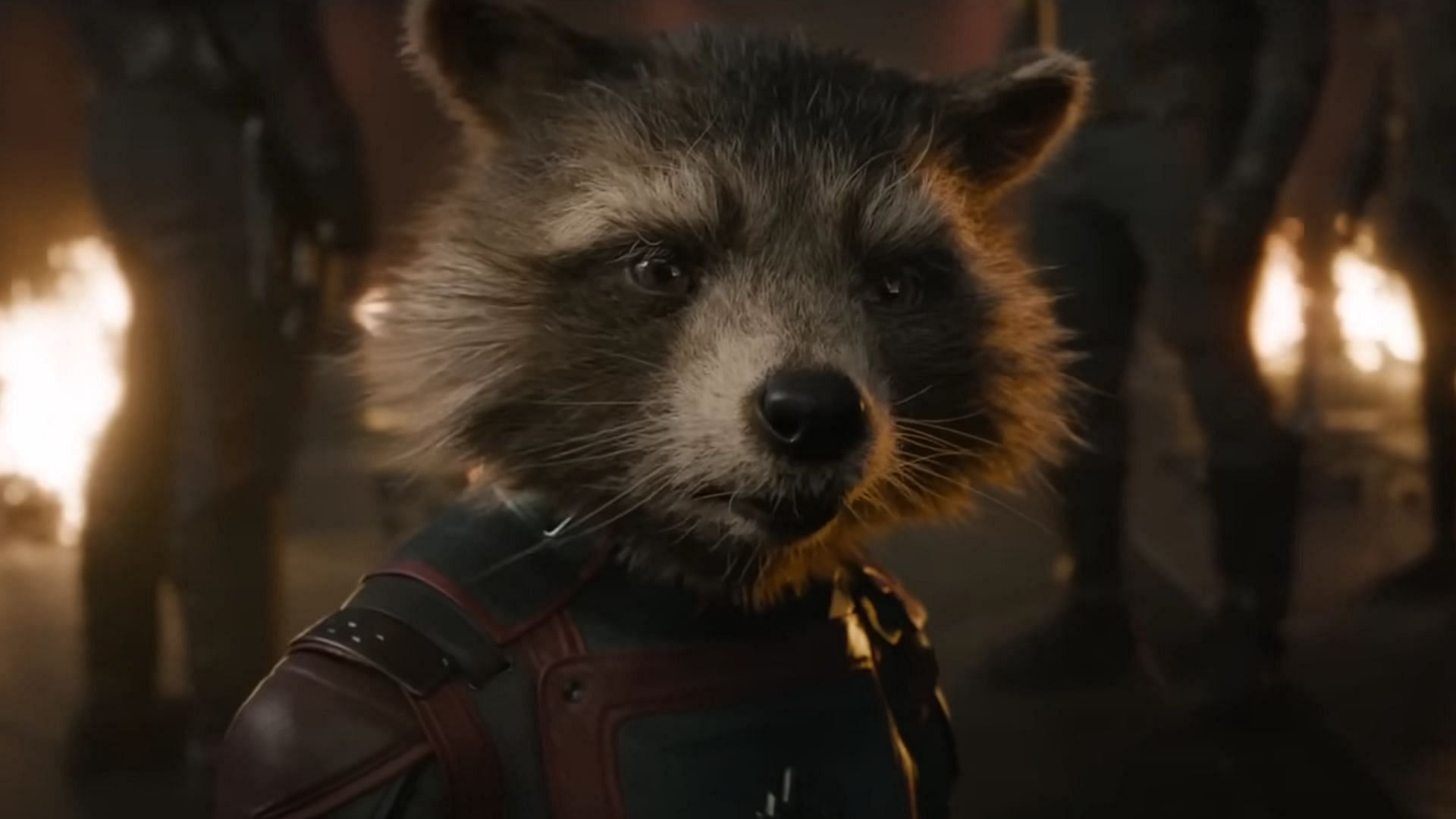 Rocket in Guardians of the Galaxy Vol 3 (image via Marvel)