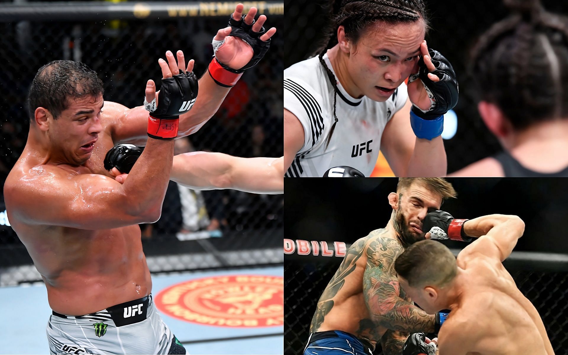 5 UFC fighters who were KO'd for the first time