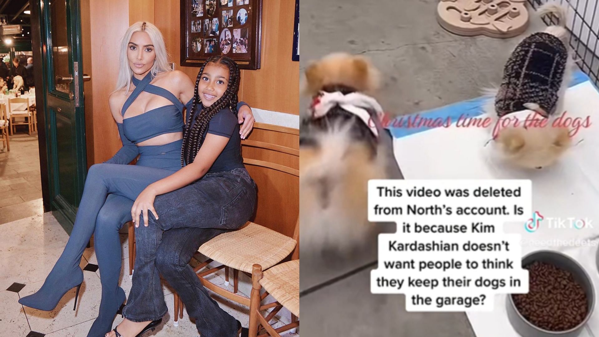 Kim Kardashian dissed by fans after daughter North reveals she keeps her dogs in a garage in a TikTok video (Image via Instagram/@kimkardashian. TikTok/@needthedeets)