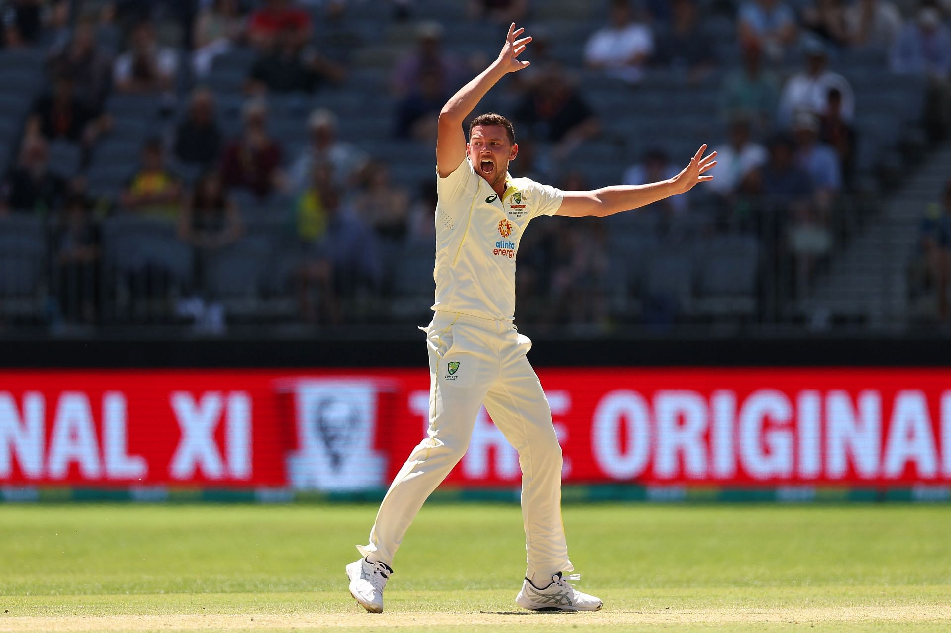 Josh Hazlewood. (Image Credits: Getty)