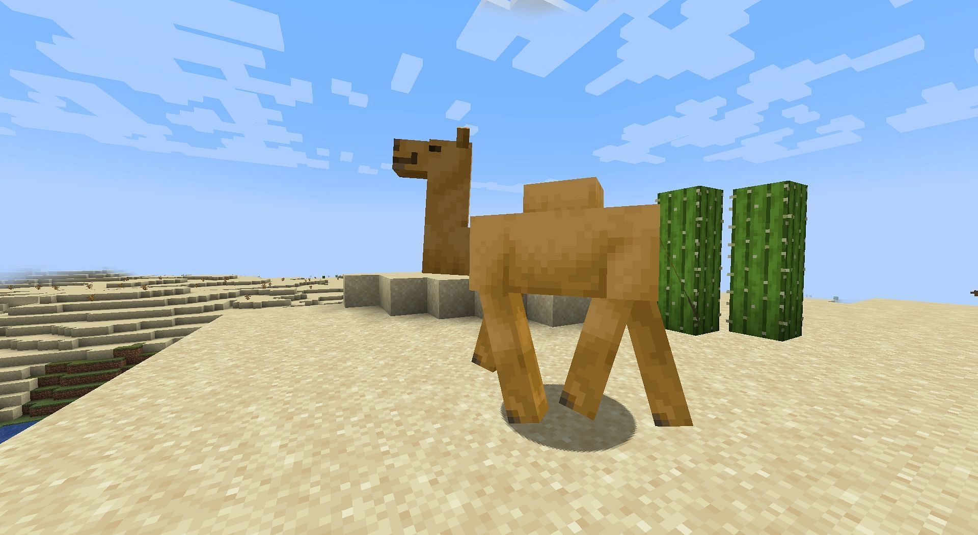 Camels are extremely cute passive mobs that will be released in Minecraft with the 1.20 update of the game (Image via Mojang)