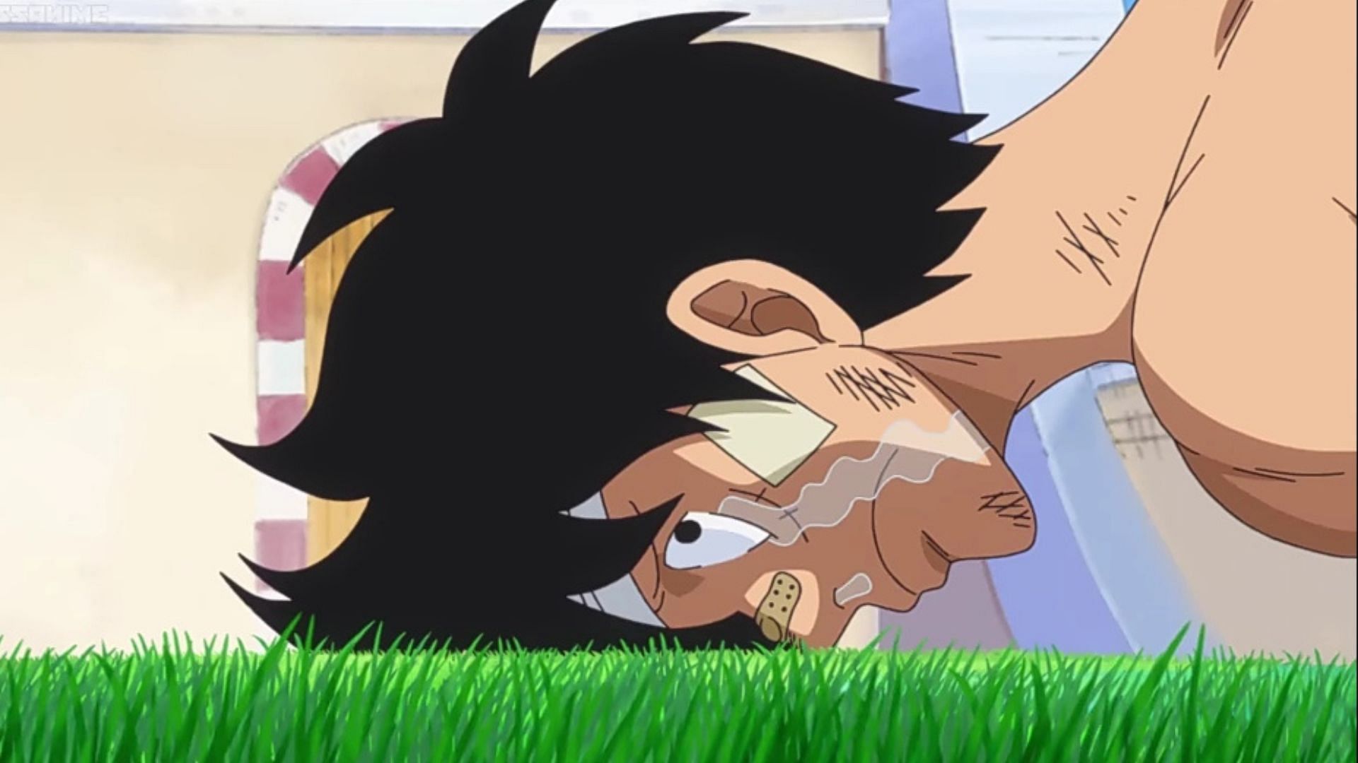 Luffy (Image via Toei Animation)