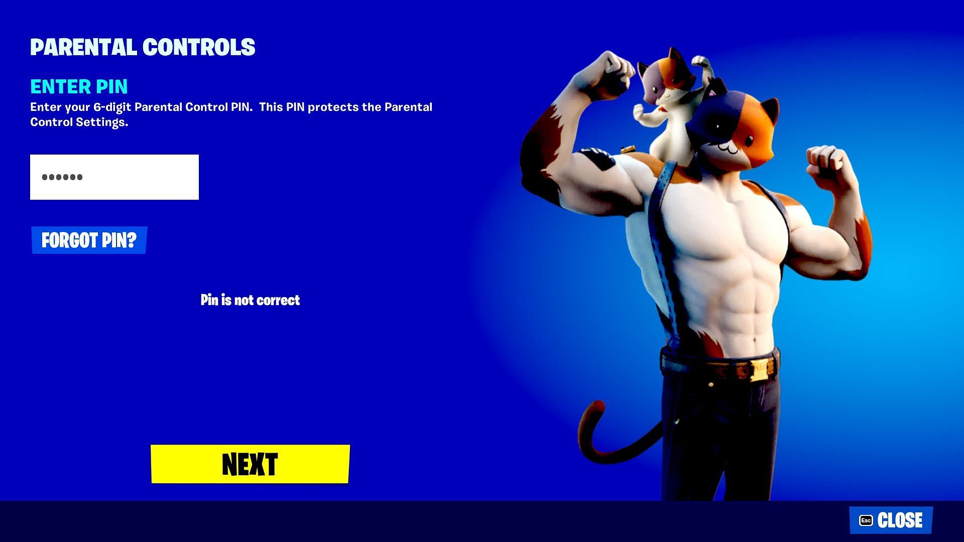 New Fortnite age restriction prevents you from using skins in certain game  modes (updated)