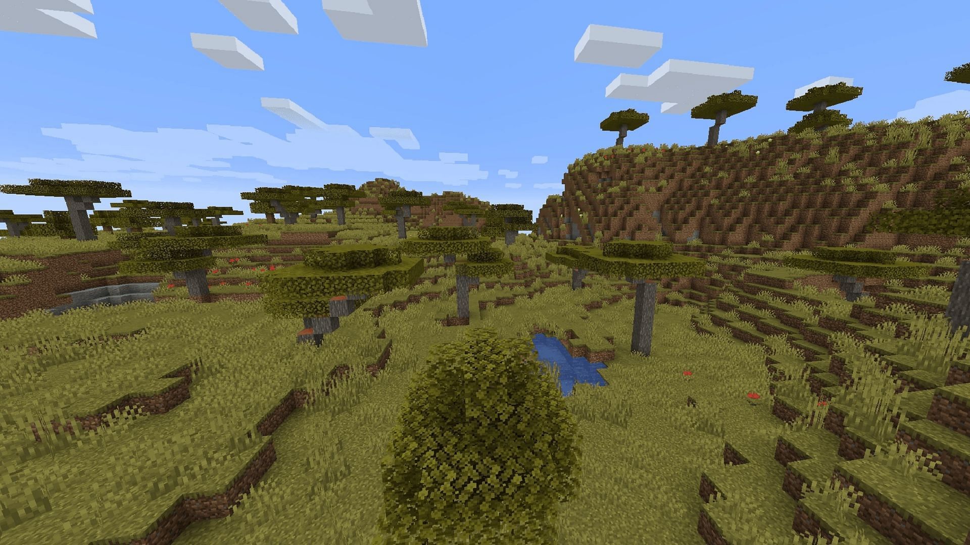 Savannas are great for finding animals and plenty of other resources (Image via Mojang)