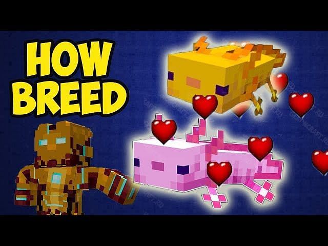 How To Find And Breed Axolotls In Minecraft 1.19