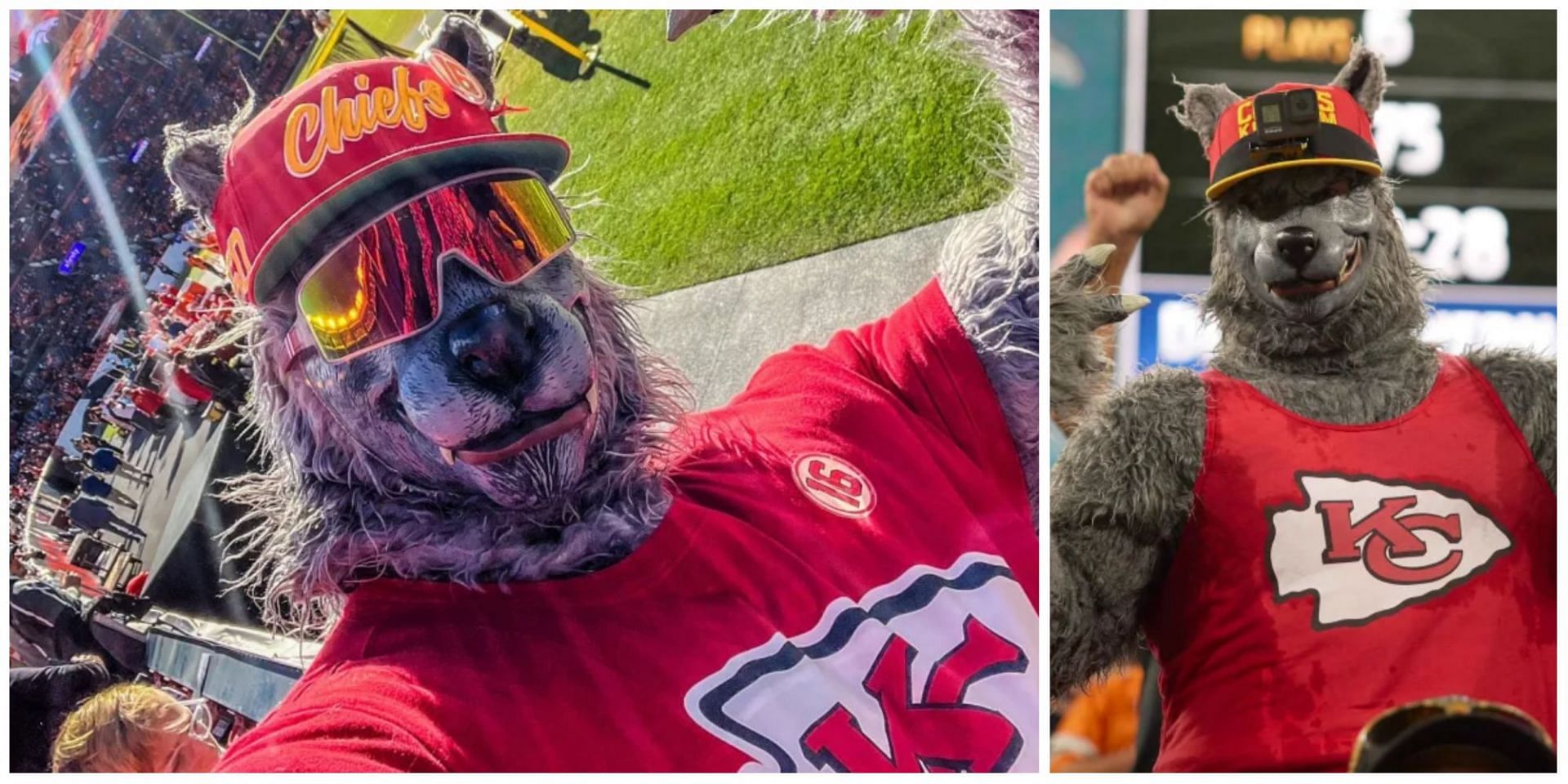 Kansas City Chiefs superfan arrested for robbing bank, dressed in a wolf outfit. (Image via Twitter)