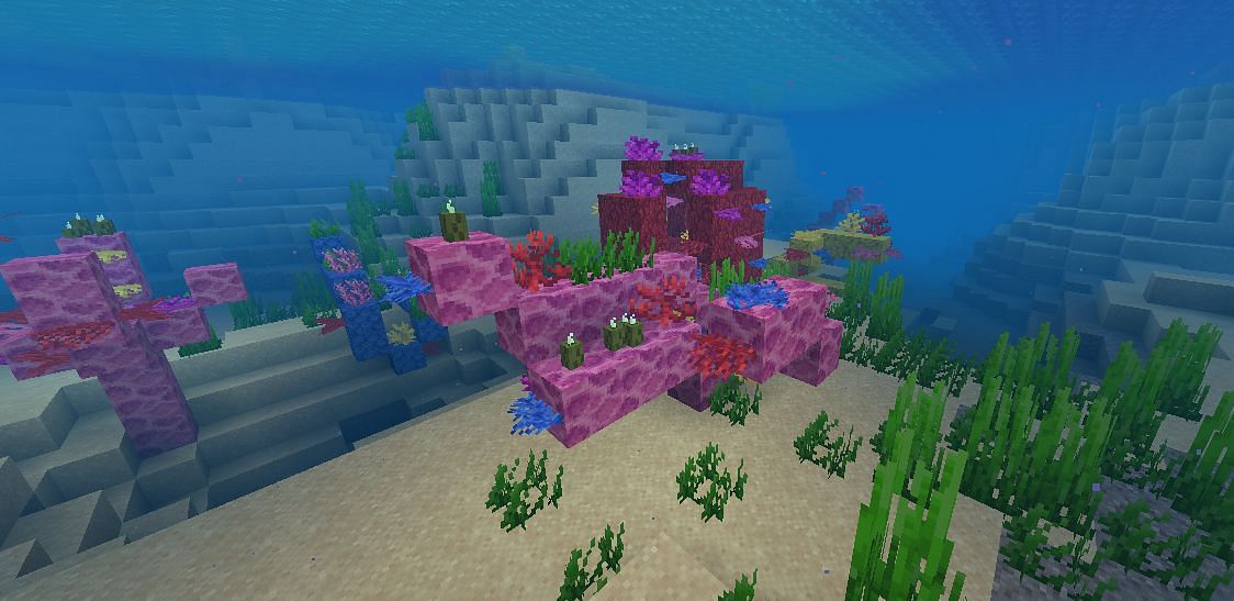 Brain Coral Block in Minecraft