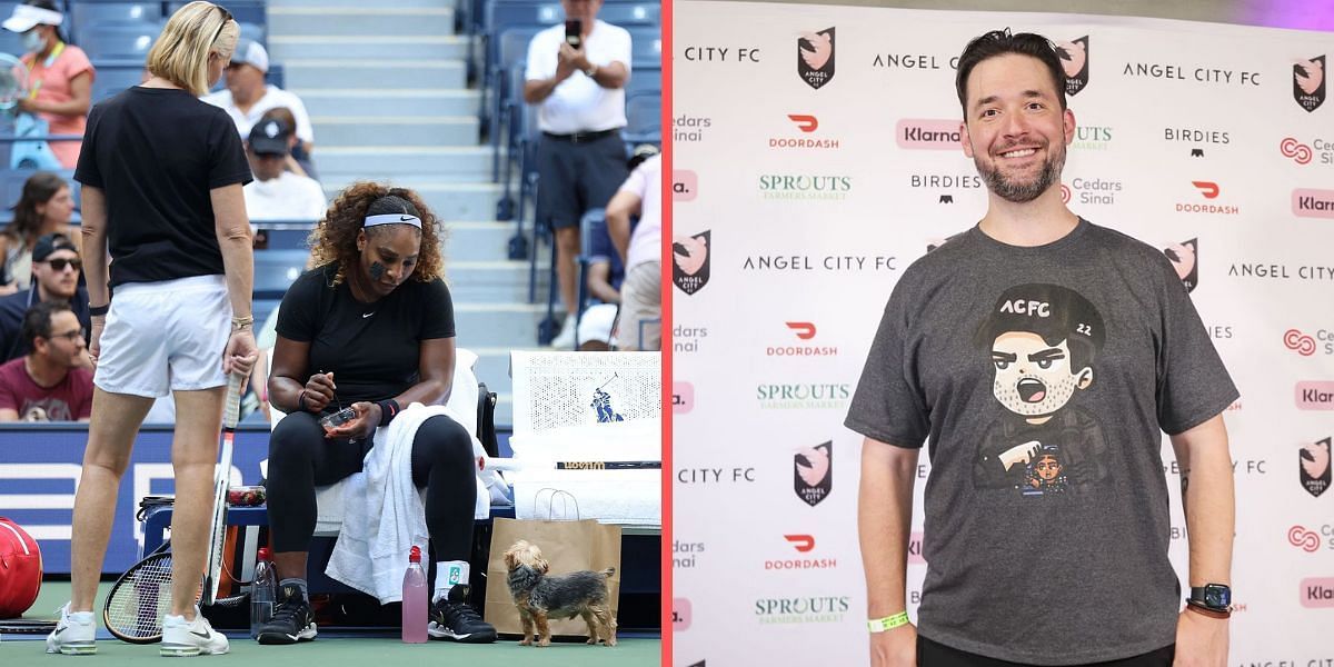 Serena Williams pictured with her dog Christopher Chip Rafael Nadal during a practice session at the 2022 US Open (L) and Alexis Ohanian (R)