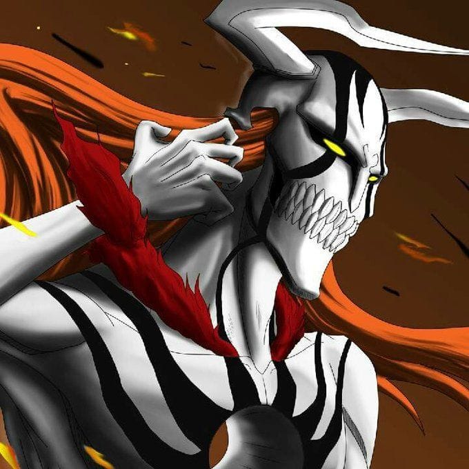 Bleach Karin Soul Reaper