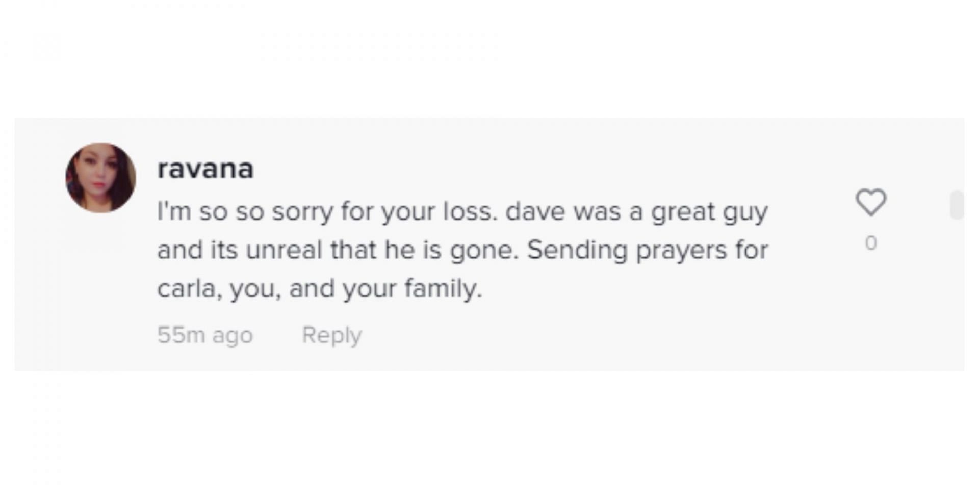 Screenshot of a TikTok user reacting to the news of Dave&#039;s demise (Image via TikTok/@ravanarose)
