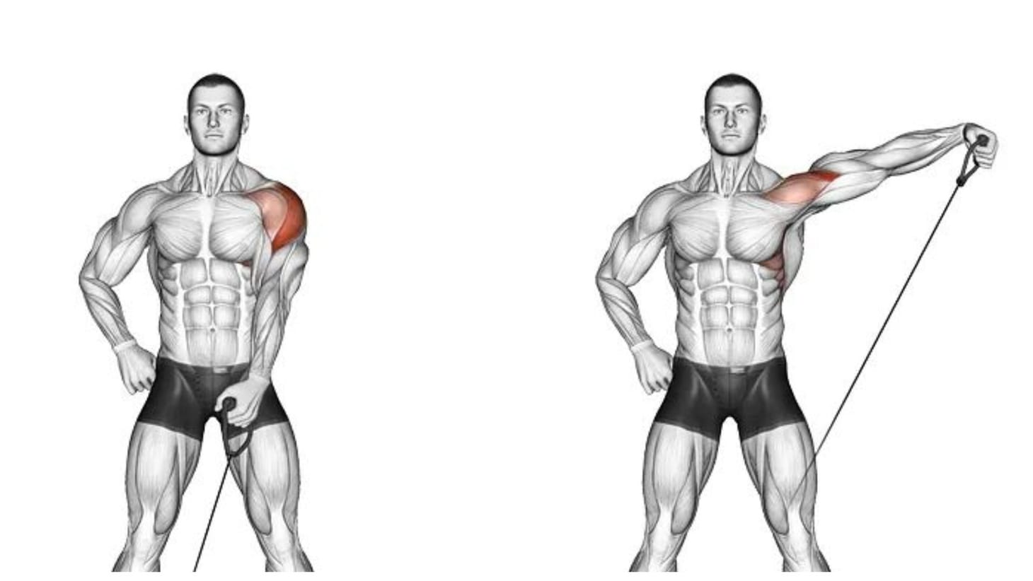 6 Best Side Deltoid Exercises to Make Your Shoulders Look Bigger