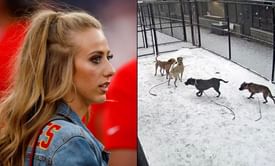 "You have NO HEART" - Brittany Mahomes lashes out at animal abusers as the weather worsens in Kansas City