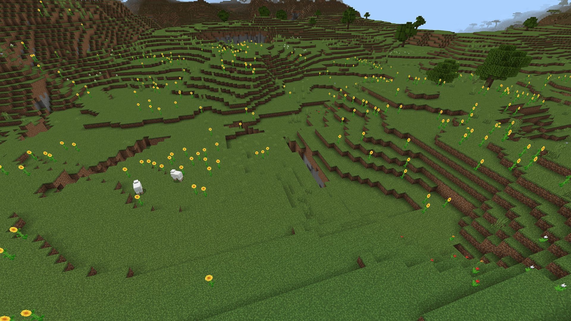 Plains biomes are often a blank slate for Minecraft builders (Image via Mojang)