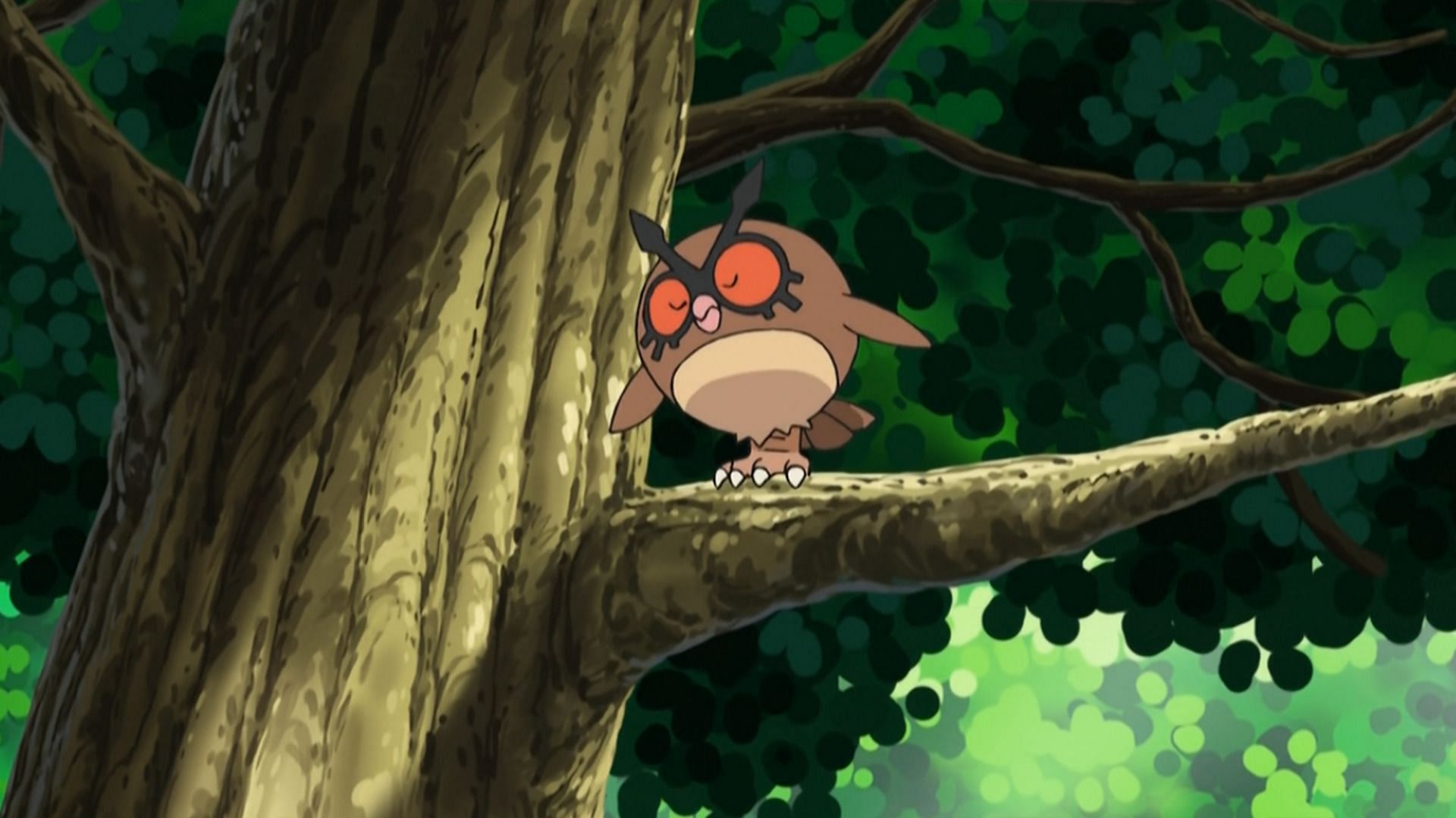 Hoothoot (Pokemon) HD Wallpapers and Backgrounds