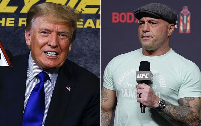 Joe Rogan reacts to Donald Trump's newly released NFT collection
