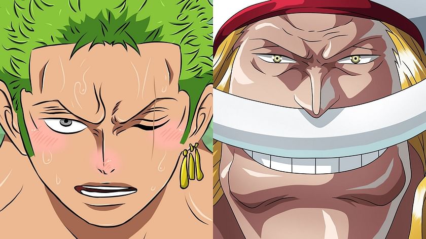 One Piece Reveals How Much of a Threat Zoro is to Kaido
